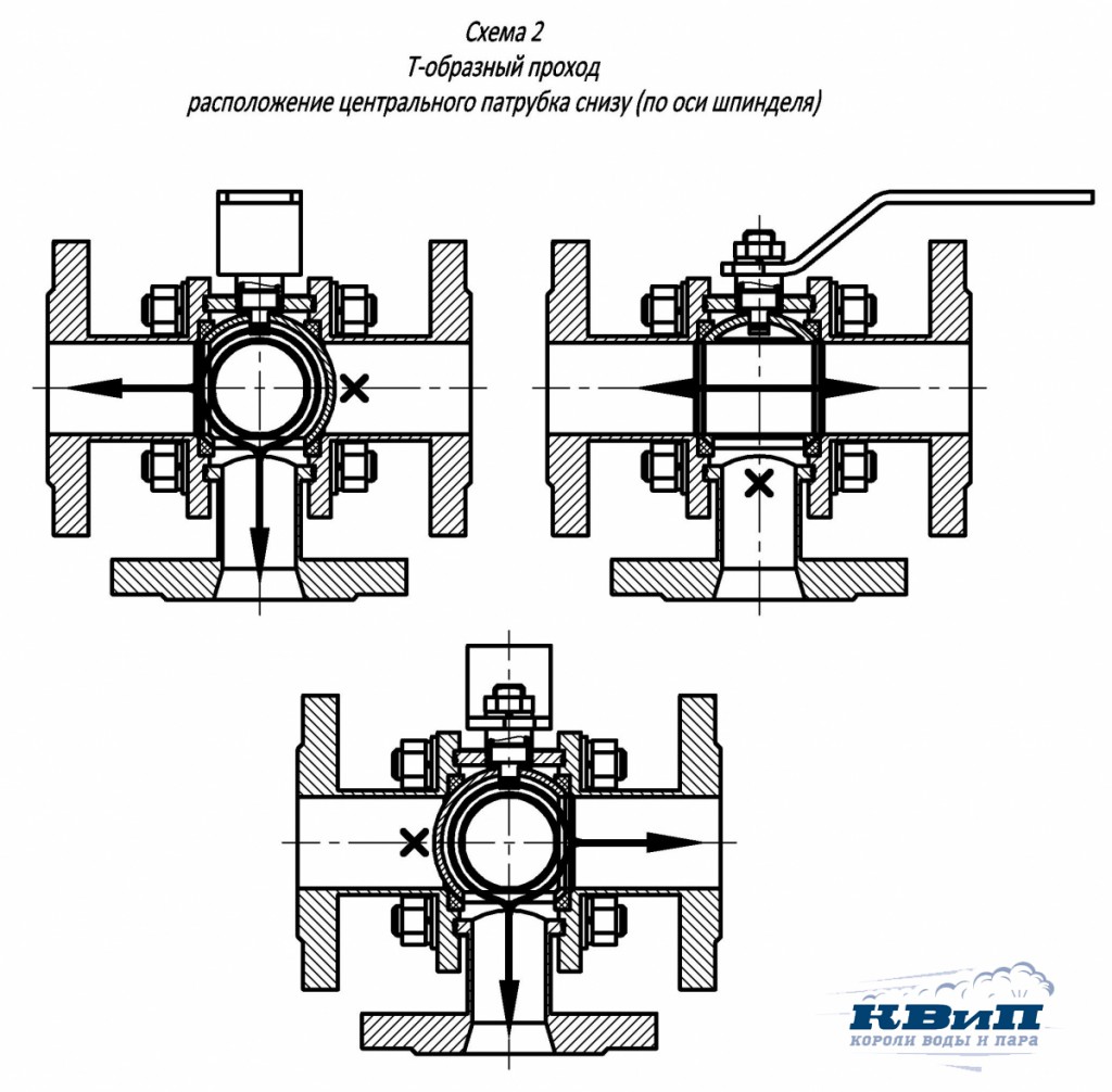 Shema-2.jpg